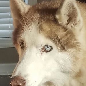 Meet your Posher, Ruthann